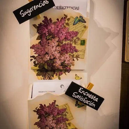 La Casa Del Medio Curiel de Duero