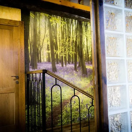 La Casa Del Medio Curiel de Duero