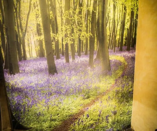 Εξοχικό σπίτι La Casa Del Medio